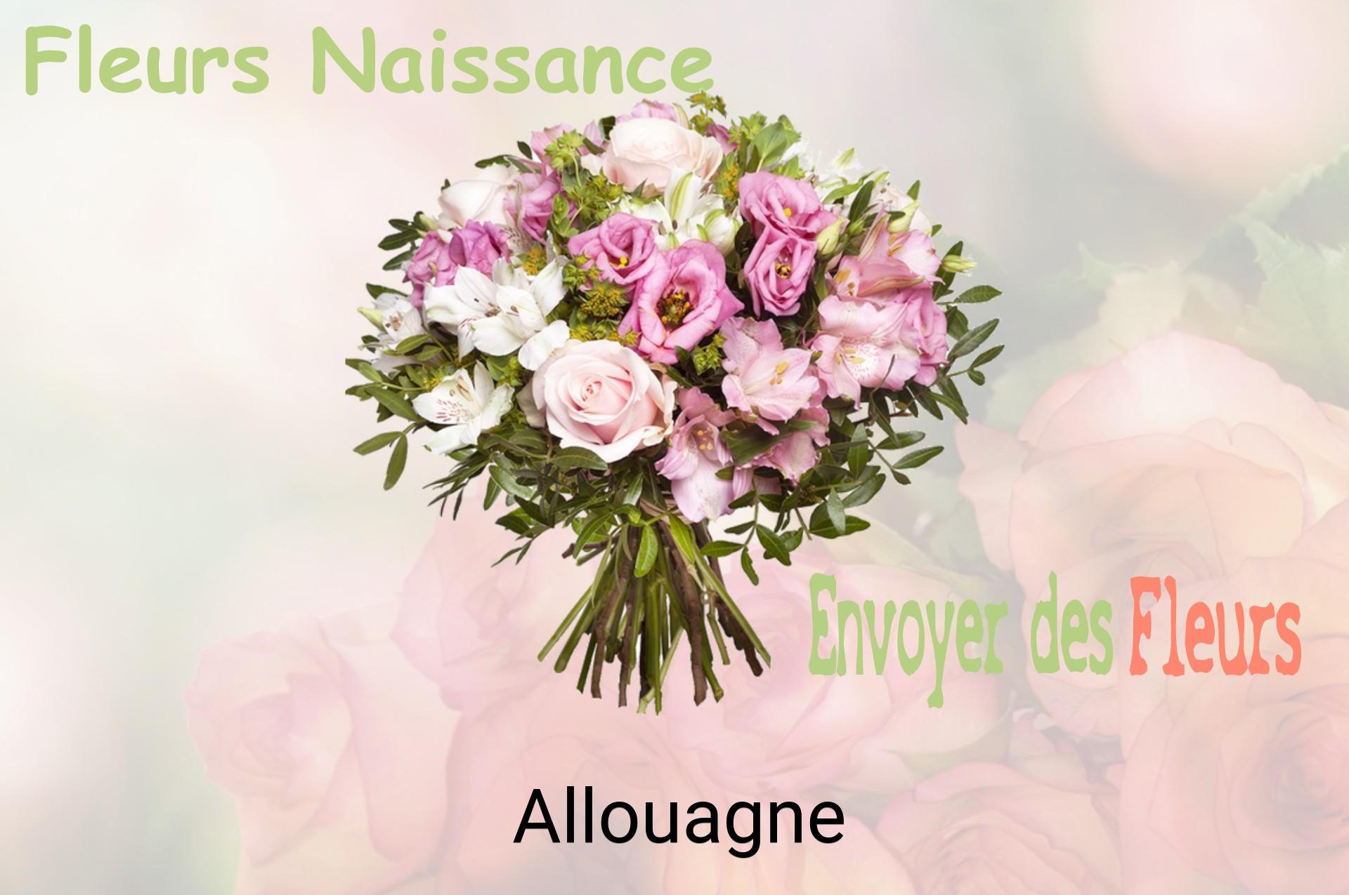 Bouquet de fleurs de naissance livré à Allouagne